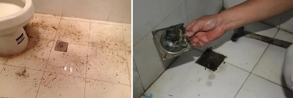 家里衛(wèi)生間老有異味，潔匠凈化教您如何解決難聞的臭味.jpg